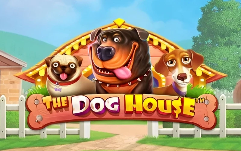 Hohle dir fette gewinne im The Dog House spiele bei QuickWin.