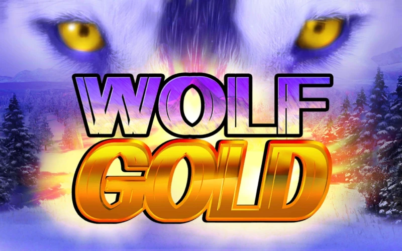 Teste den beliebten slot Wolf Gold bei QuickWin.